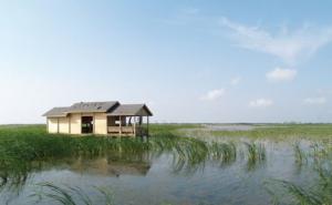 杭州湾湿地公园图片