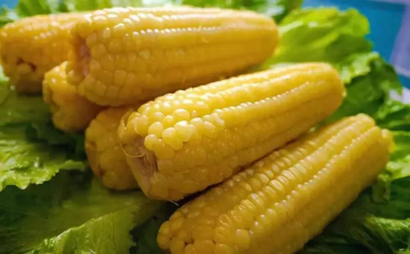 玉米图片 第2张
