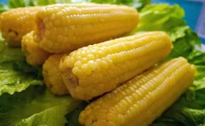 玉米图片 第2张