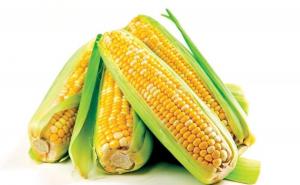 玉米图片 第3张