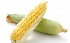 玉米图片 第4张