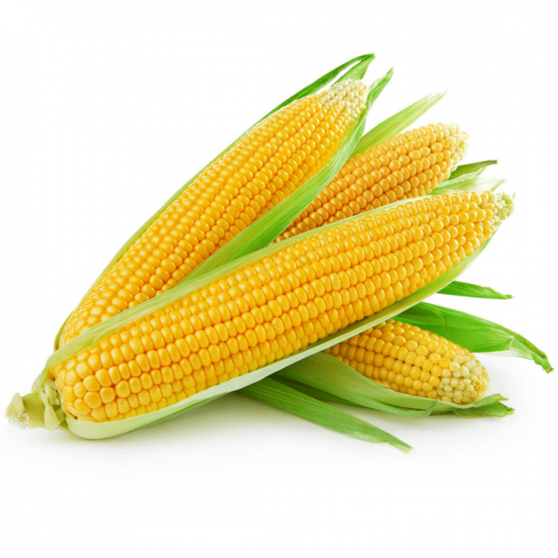 玉米头像图片大全 第2张