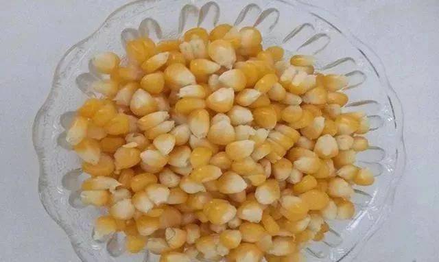 玉米粒图片 第1张