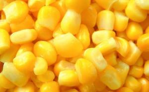 玉米粒图片 第3张