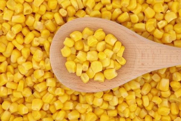 玉米粒图片 第4张