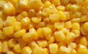 玉米粒图片 第8张
