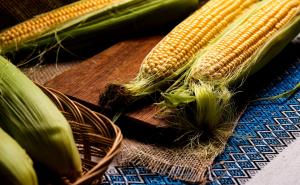 玉米棒图片 第2张