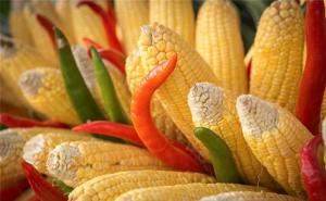 玉米棒图片 第3张