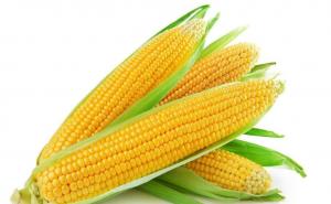 玉米棒图片 第6张