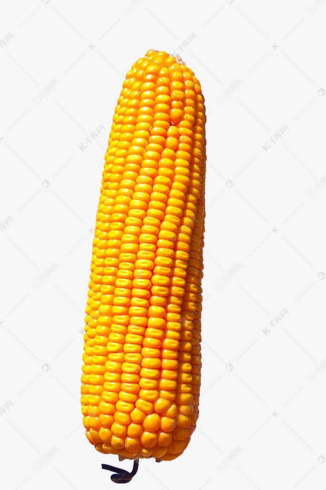 玉米棒图片 第5张