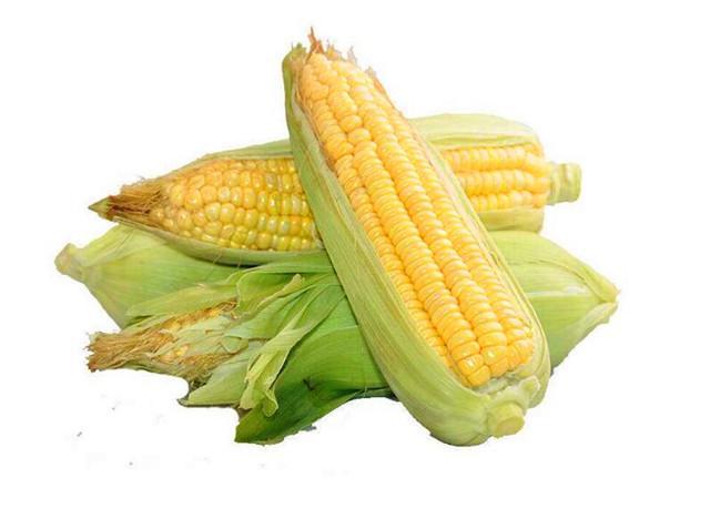 鲜玉米图片 第3张