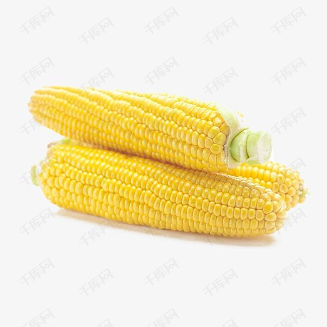 鲜玉米图片 第2张