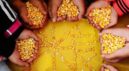 玉米拼图图片 第2张