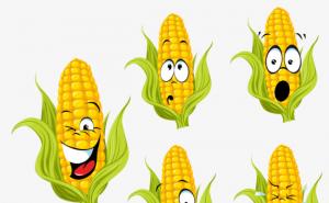 玉米表情图片 第3张