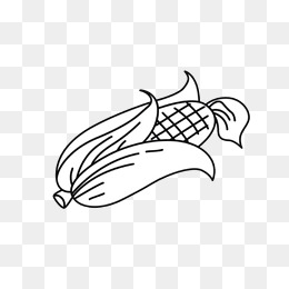 玉米简笔画 第2张