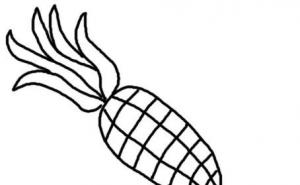 玉米简笔画 第4张