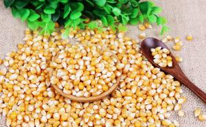 爆米花玉米粒图片 第5张