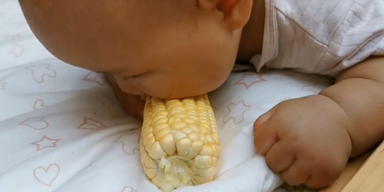 小孩吃玉米搞笑图片 第4张