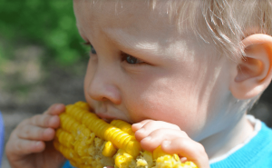 小孩吃玉米搞笑图片 第5张