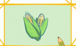 玉米绘画图片 第2张