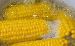 煮玉米图片 第2张