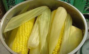 煮玉米图片 第5张