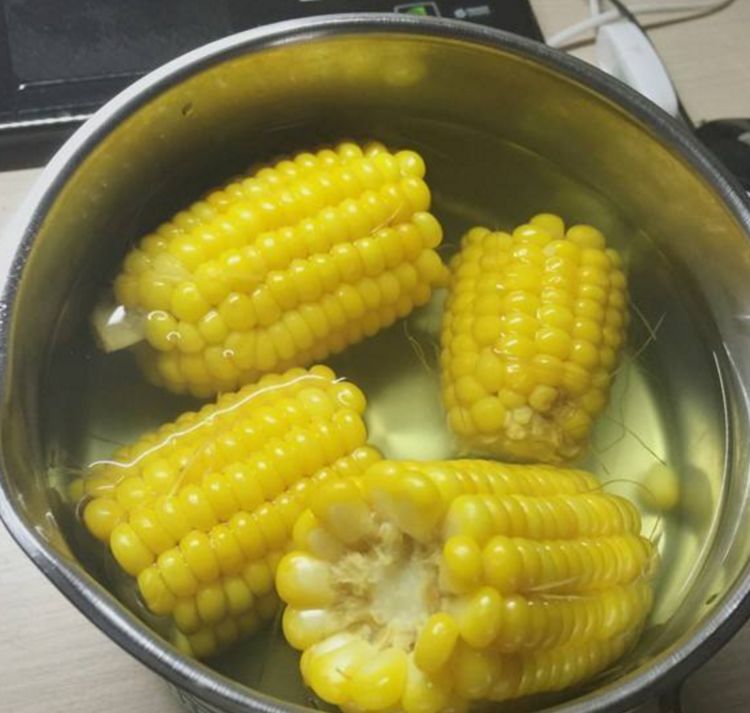 煮玉米图片 第4张