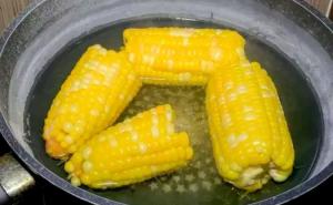 煮玉米图片 第6张