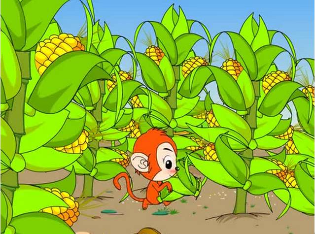 小猴子掰玉米的图片 第1张