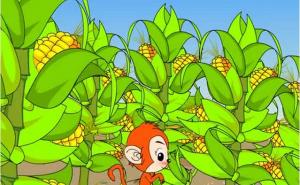 小猴子掰玉米的图片