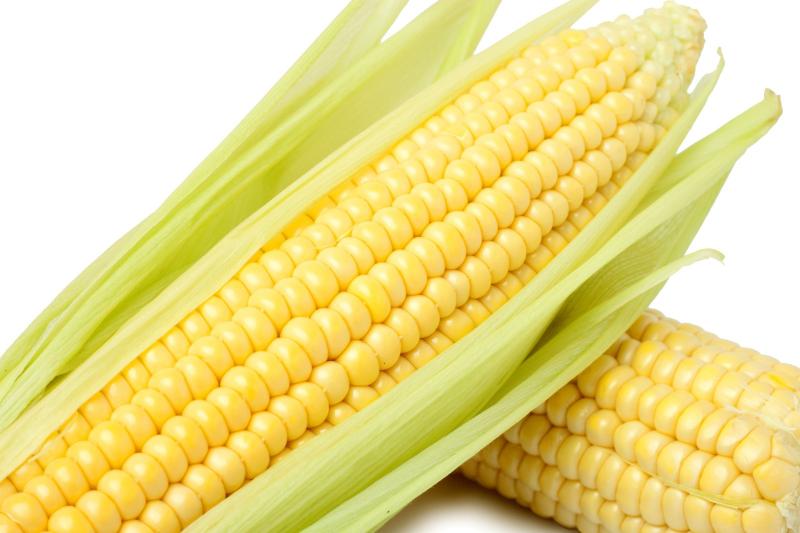 好看的玉米图片 第3张