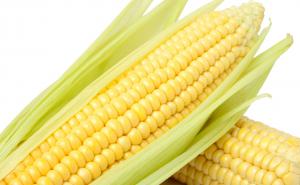 好看的玉米图片 第3张