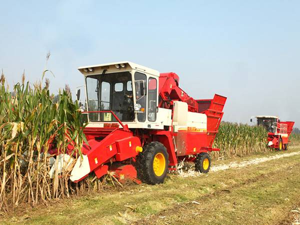 收割机收玉米图片 第2张