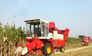 收割机收玉米图片 第2张