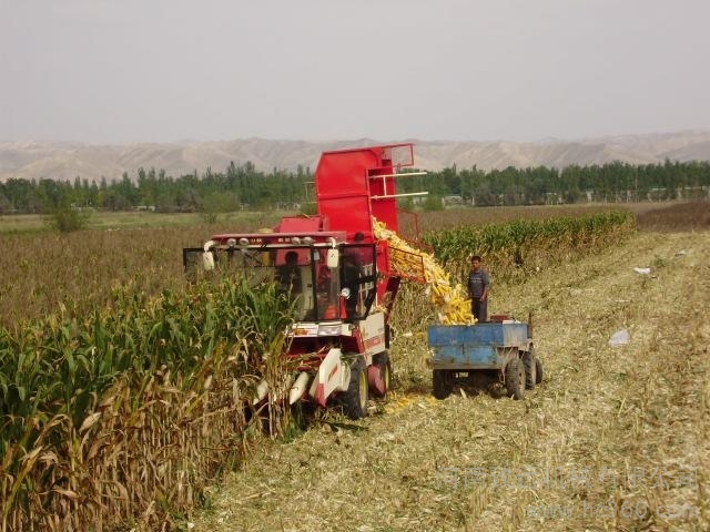 收割玉米图片 第5张