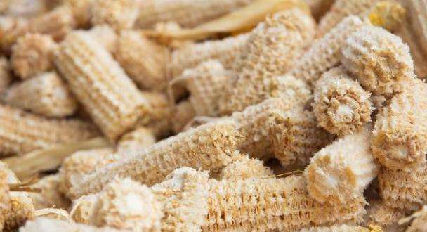 玉米芯图片 第2张