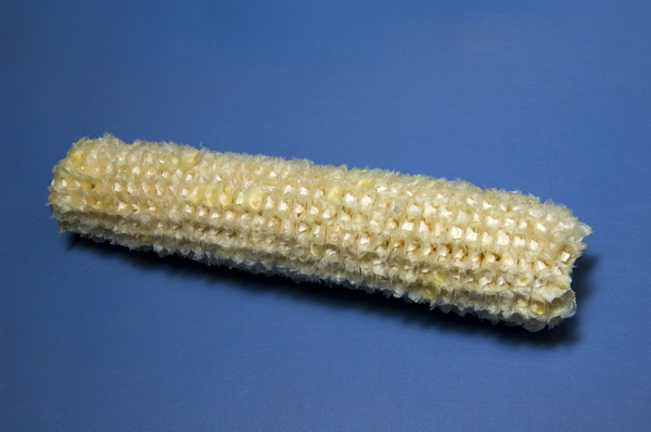 玉米芯图片 第1张