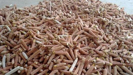 玉米芯图片 第4张