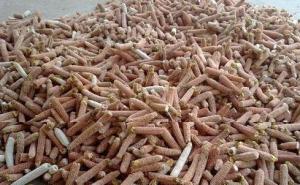 玉米芯图片 第4张