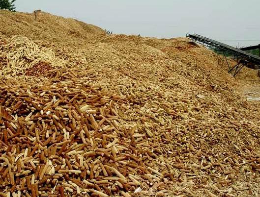 玉米堆成山的图片 第6张