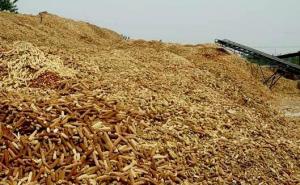 玉米堆成山的图片 第6张