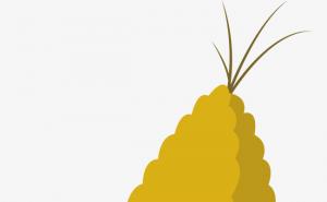 玉米可爱动漫图片 第2张