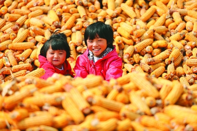 儿童玉米丰收图片 第3张