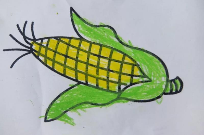 幼儿园玉米作品图片 第2张