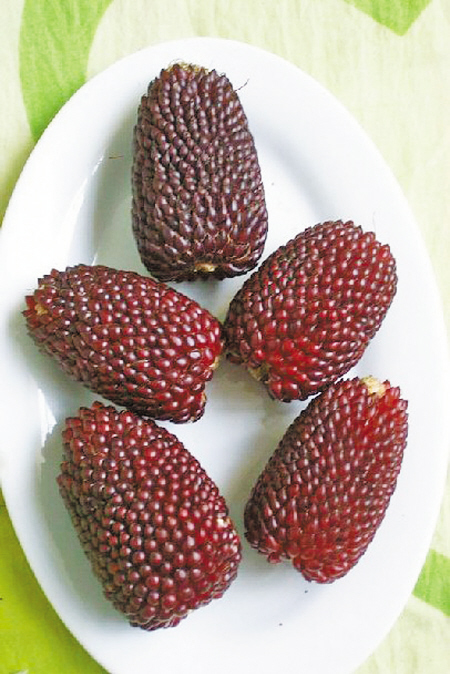 草莓玉米图片 第1张