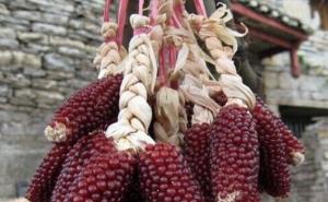 草莓玉米图片 第2张