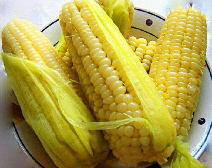 带皮玉米棒子图片 第1张