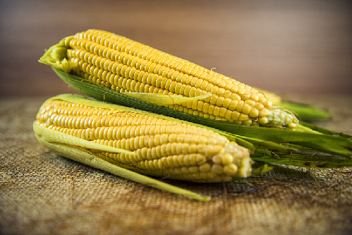 带皮玉米棒子图片 第3张