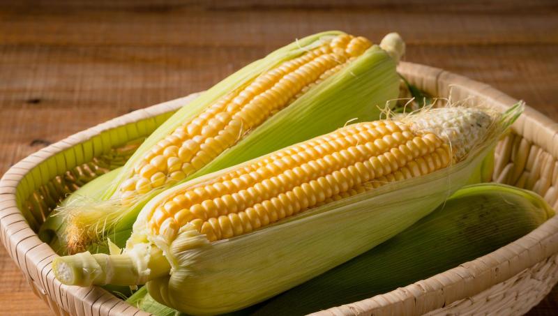 带皮玉米棒子图片 第5张