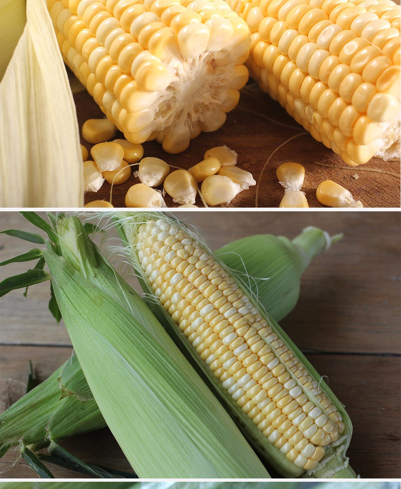 带皮玉米棒子图片 第4张